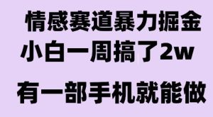 情感暴力掘金项目，新人操作一周挣了2W，长期稳定小白可做【揭秘】-一号资源库