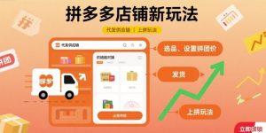 拼多多店铺新玩法,代发供应链上拼玩法-一号资源库