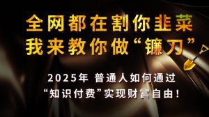 全网都在割你韭菜，我来教你做镰刀，2025普通人如何通过知识付费，实现财F自由【揭秘】-一号资源库