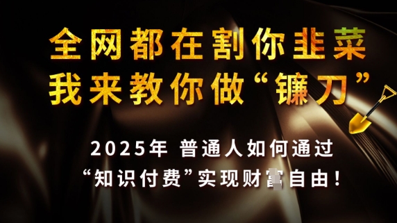 全网都在割你韭菜，我来教你做镰刀，2025普通人如何通过知识付费，实现财F自由【揭秘】-一号资源库