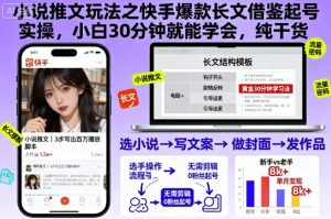小说推文玩法之快手爆款长文借鉴起号实操，小白30分钟就能学会，纯干货-一号资源库