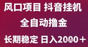 风口项目，六月最新玩法抖音无人挂G，全自动撸金，长期稳定 日入2k+【揭秘】-一号资源库