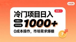 在小红书上发现个冷门路子，需求不小，零成本操作，每天能有1k进账-一号资源库