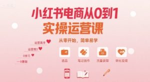 小红书电商从0到1实操运营课,从零开始,简单易学-一号资源库