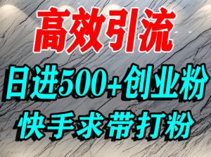怎么打创业粉?快手求带视角精准引流创业粉,宝妈、学生群体日进500+精准流量-一号资源库