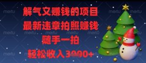 解气又挣钱的项目，最新违章拍照挣钱，随手一拍，轻松收入多张【揭秘】-一号资源库