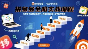 拼多多全阶实战课程，从新手小白到运营高手，海量实战玩法+全年实时更新【2025年10月更新】-一号资源库