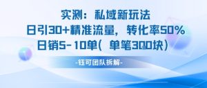 实测私域新玩法日引30加精准流量转化率50%日销5-10单每笔3张-一号资源库