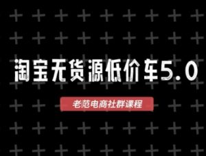 淘宝无货源2025VIP教程,最新的淘宝无货源课程,1688代发,蓝海选品,零成本创业首选-一号资源库