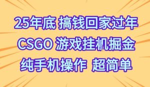25年底搞钱回家过年，CSGO游戏挂G掘金，纯手机操作超简单【揭秘】-一号资源库