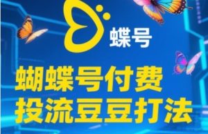 2025蝴蝶号付费投流豆豆打法，助新手快速掌握付费流量撬动自然流的核心玩法-一号资源库