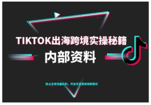 TikTok跨境电商0-1搭建运营,TK出海跨境实操秘籍(10月更新)-一号资源库
