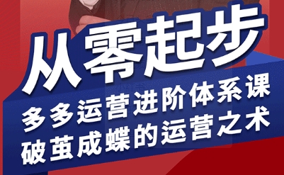 拼多多运营进阶系统课，从零起步，多多运营进阶体系课，破茧成蝶的运营之术（更新9月）-一号资源库