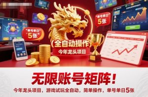 无限账号矩阵！今年龙头项目，游戏试玩全自动，简单操作，单号单日5张【揭秘】-一号资源库