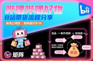 哔哩哔哩好物，B站带货流程分享，新风口项目，矩阵操作月1W-一号资源库