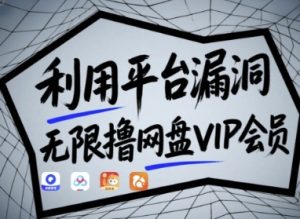 利用平台漏洞，无限撸网盘VIP会员，用户亲测有效!【漏洞原理+操作演示】-一号资源库