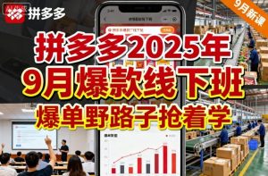 拼多多2025年9月爆款线下班，爆单野路子抢着学-一号资源库