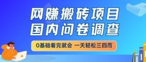 网创搬砖项目,国内问卷调查,小白轻松上手,一天三四张的也不难,干就完了【揭秘】-一号资源库