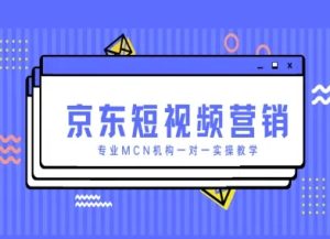 京东短视频营销项目，专业MCN机构一对一实操教学-一号资源库