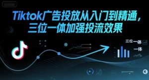 Tiktok广告投放从入门到精通，三位一体加强投流效果-一号资源库