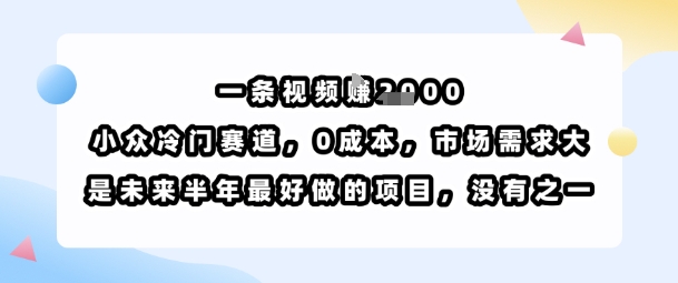 一条视频挣1k，小众冷门赛道，0成本，市场需求大，是未来半年最好做的项目，没有之一-一号资源库