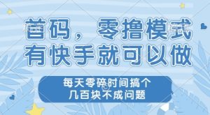 首码零撸项目，有快手就可以做，每天业务时间搞个几张不是问题【揭秘】-一号资源库