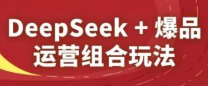 DeepSeek+爆品运营组合玩法，2025淘系精品课-一号资源库
