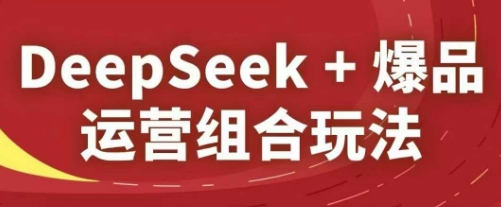 DeepSeek+爆品运营组合玩法，2025淘系精品课-一号资源库