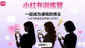 小红书训练营一起成为賺钱的博主，小红书是最适合普通人的风口-一号资源库