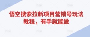 悟空搜索拉新项目营销号玩法教程，有手就能做-一号资源库