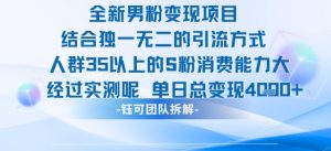 全新男粉变现项目引流人群35以上的男粉消费能力大 经过实测单日变现1k+-一号资源库