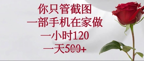 你只管截图，一部手机在家操作，一小时120.一天5张【揭秘】-一号资源库