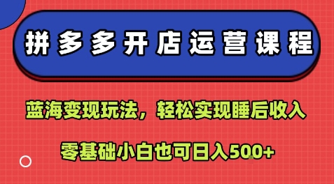 拼多多开店运营课程：蓝海变现玩法，轻松实现睡后收入，零基础小白也可日入5张-一号资源库