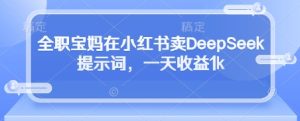 全职宝妈在小红书卖DeepSeek提示词，一天收益1k-一号资源库