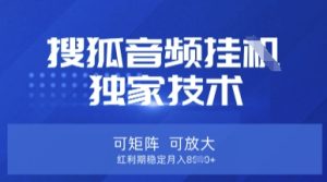 【搜狐音频挂G】独家技术,可矩阵可放大,红利期稳定月入8k【揭秘】-一号资源库
