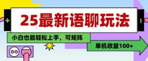 25年最新语聊玩法,纯手工,单机收益100+,小白也能轻松上手,可矩阵操作-一号资源库
