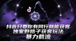抖音只要你有同行就能获客，独家野路子获客玩法，暴力截流【揭秘】-一号资源库