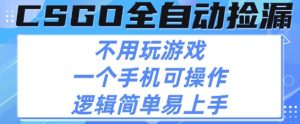 CSGO自动捡漏项目，最新独家玩法，不用挂G不用玩游戏，一个手机即可操作，新手小白轻松月入1W+【揭秘】-一号资源库