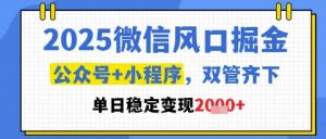 2025微信风口掘金，公众号+小程序双管齐下，单日稳定变现1k+【揭秘】-一号资源库