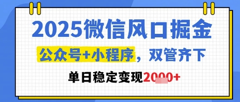 2025微信风口掘金，公众号+小程序双管齐下，单日稳定变现1k+【揭秘】-一号资源库
