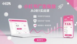 小红书广告投放从0到1的实战课，学完即可开始投放，拒绝无效广告消耗-一号资源库