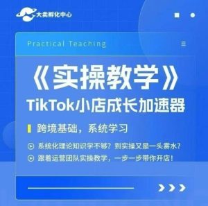 大卖家孵化中心TikTok实操课，TikTok小店成长加速器，跨境基础系统学习，一步一步带你开店-一号资源库