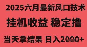 2025六月最新风口技术,无人挂G撸礼物,长期稳定 一个小时收益2k+,小白当天拿结果【揭秘】-一号资源库