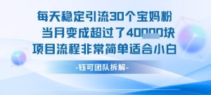 每天稳定引流30个人 当月变成超过了4个W项目流程非常简单适合小白-一号资源库