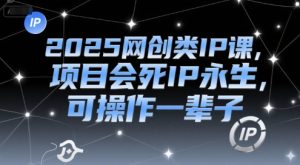 2025网创类IP课，项目会死IP永生，可操作一辈子-一号资源库
