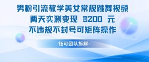 男粉引流教学美女常规跳舞视频两天实测变现1k+，不违规不封号可矩阵操作-一号资源库