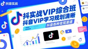 抖音实战VIP综合班，抖音VIP学习规划请晰抖音各种变现渠道-一号资源库