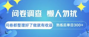 问卷调查，懒人勿扰，问卷都整理好了单价不等，做就有收益，熟练后单日3张【揭秘】-一号资源库