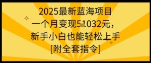 2025最新蓝海项目一个月变现1w+新手小白也能轻松上手【附全套指令】-一号资源库