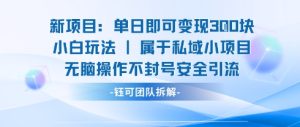 新项目单日即可变现3张的小白玩法无脑操作不封号安全引流-一号资源库